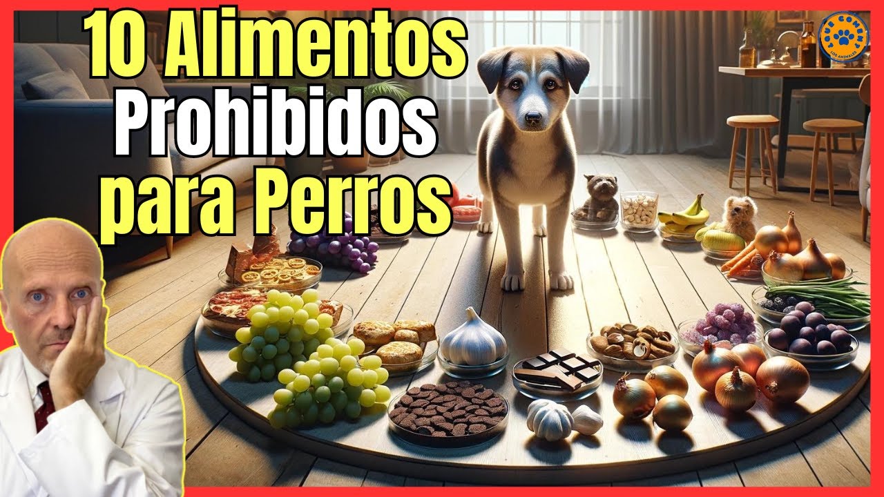 Advertencia: Comida no apta para perros