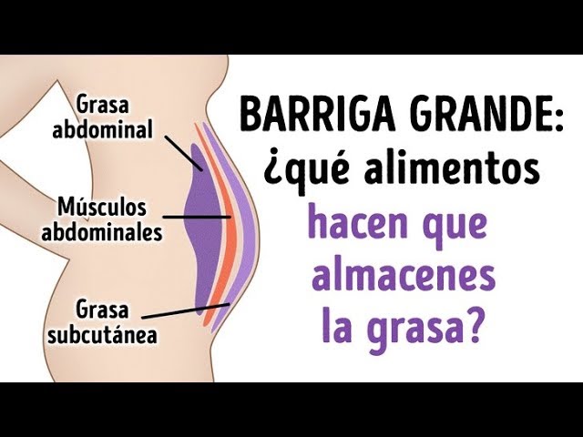 Alimentos para secar el cuerpo y lucir una figura saludable