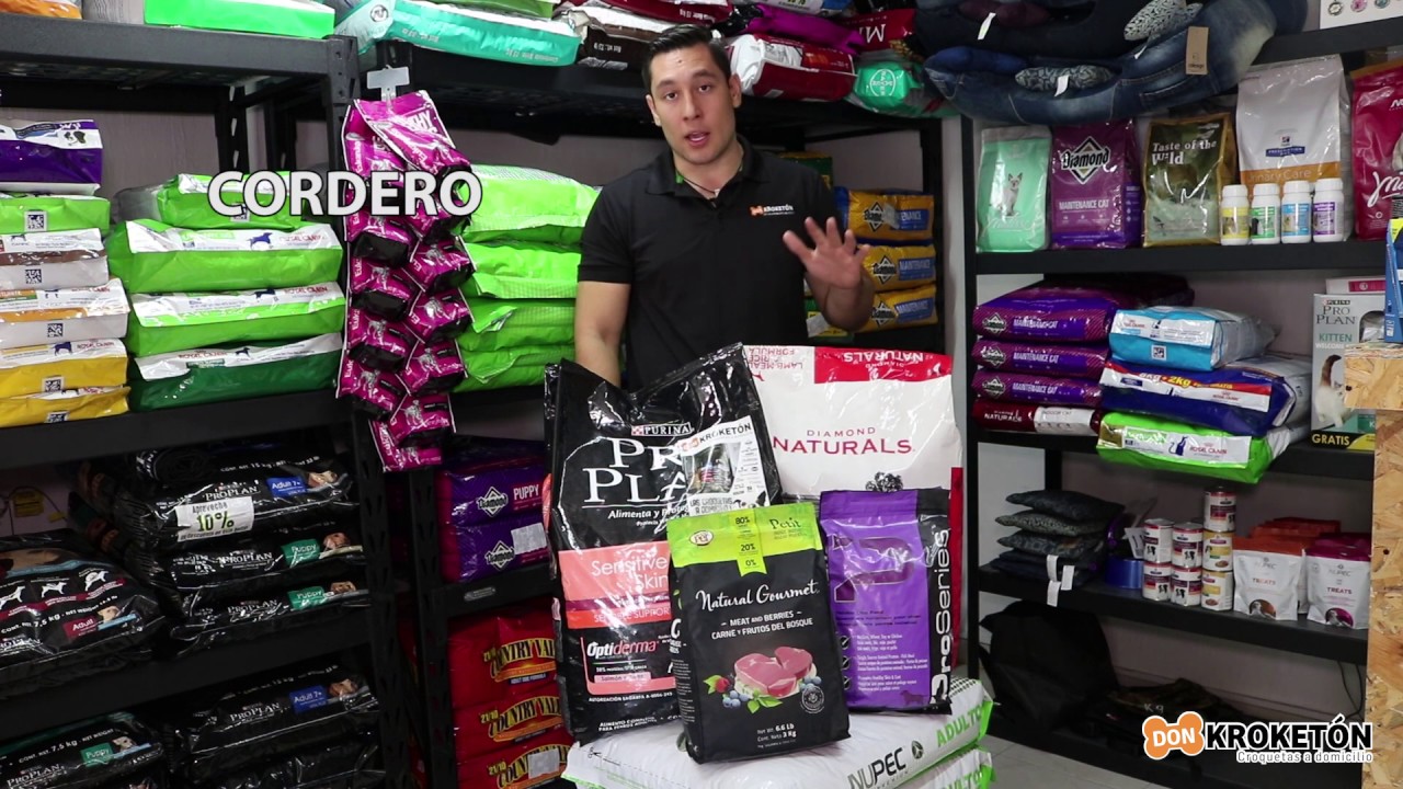 Alternativas de comida para perros alérgicos al pollo