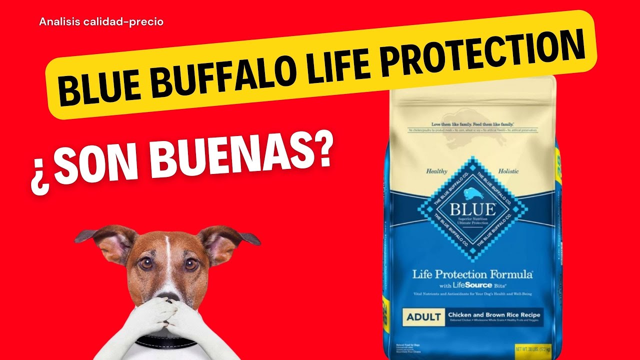 Blue Buffalo: La mejor comida para tu perro
