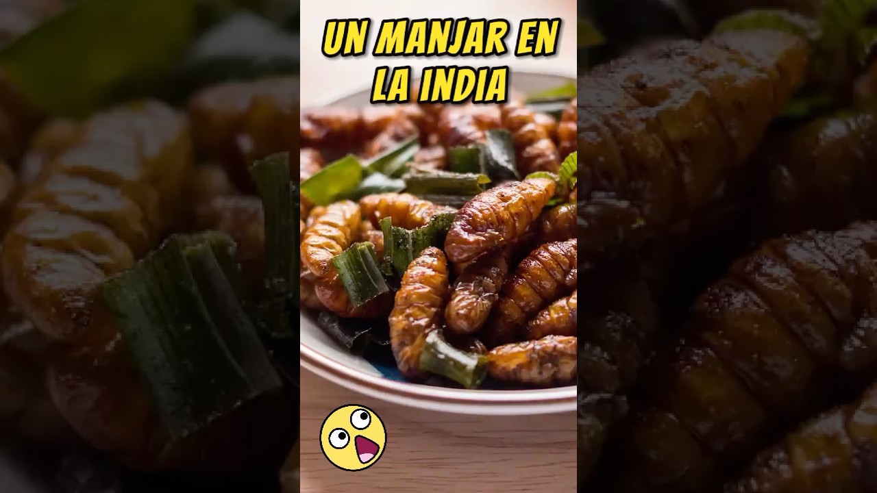 Comida de gusanos de seda: una sorprendente opción culinaria