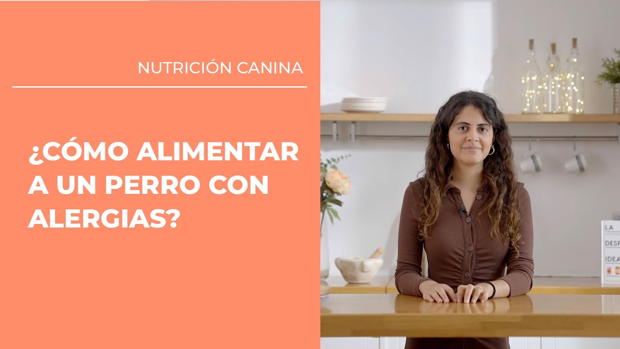 Comida especial para perros con alergias en la piel