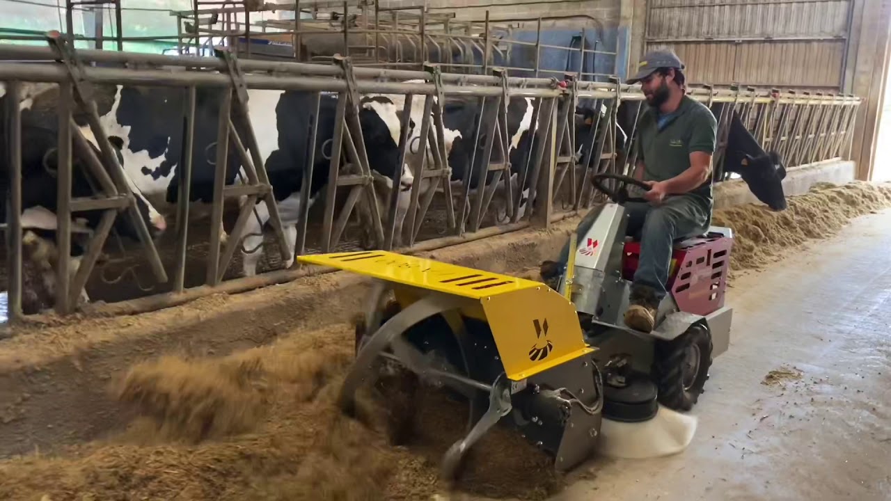 Compra de arrimadores de comida usados para vacas