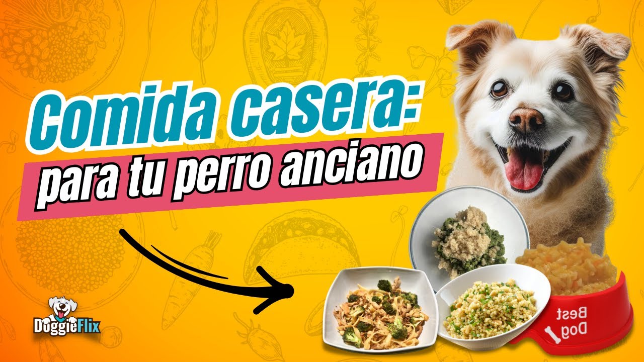 Deliciosa comida casera para tu perro viejo