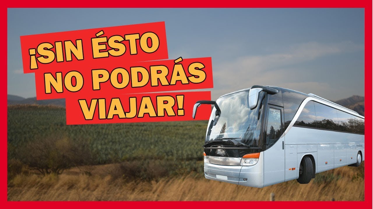 Deliciosa comida para disfrutar en tu viaje en bus
