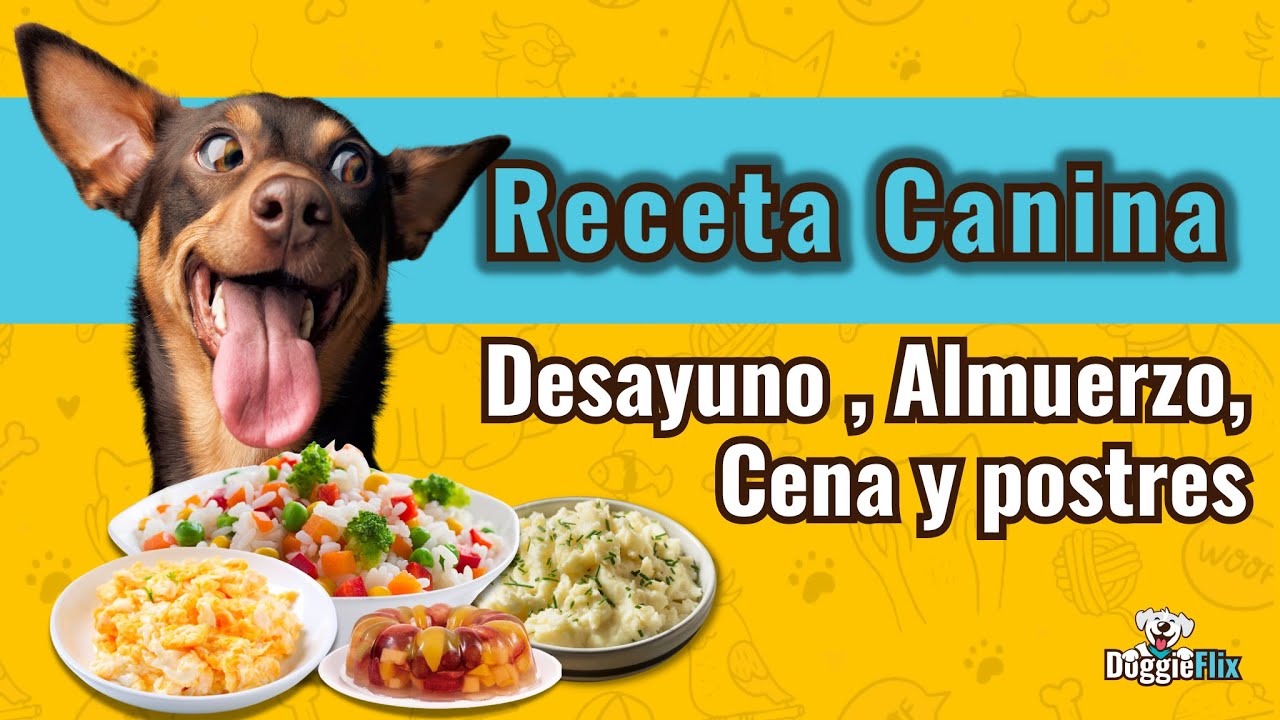 Deliciosas recetas de comida casera para perros pequeños