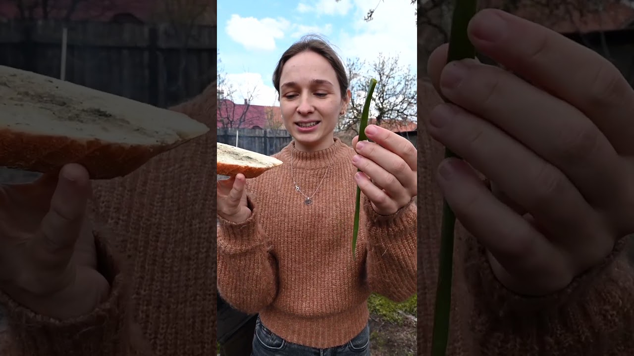 Delicioso manjar: Comida con cabeza de cerdo