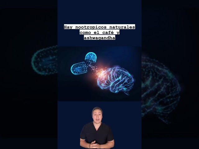 Descubriendo la innovadora comida de Silicon Valley