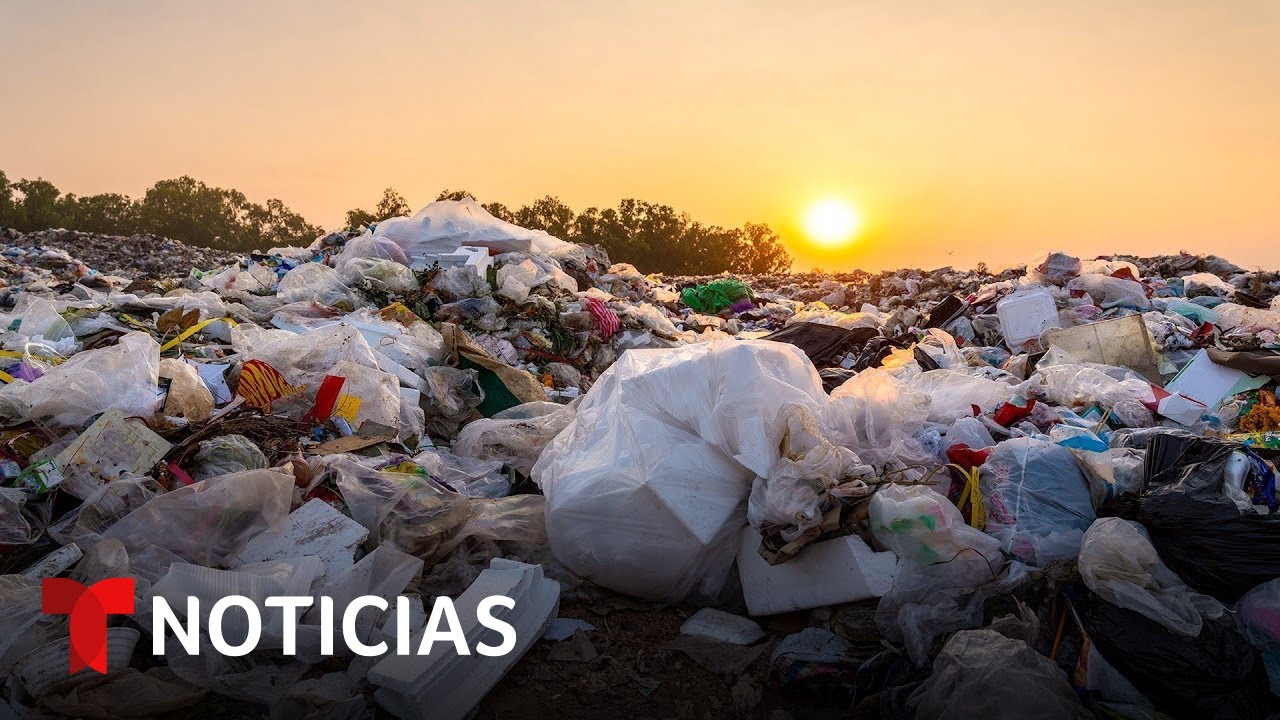 Desperdicio de comida: graves consecuencias