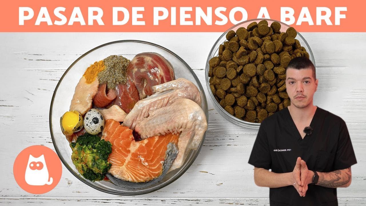Dieta de comida cruda para perros