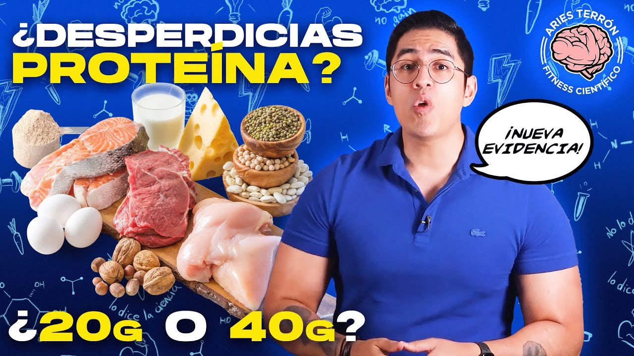 La Importancia de la Asimilación de Proteína en Cada Comida