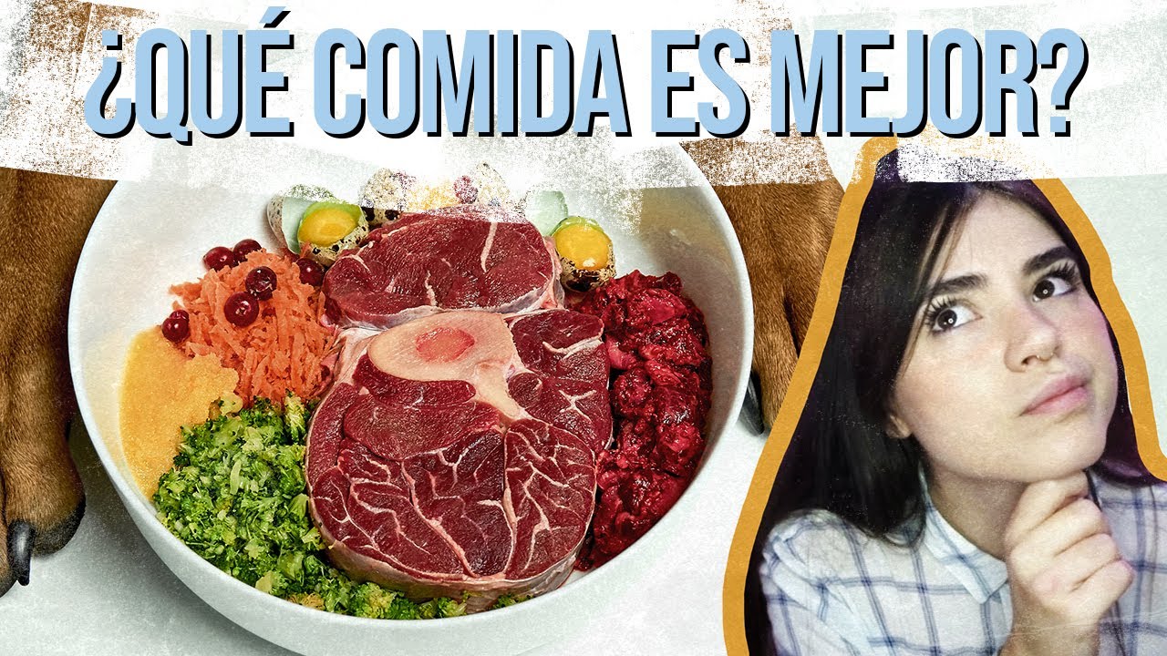La cantidad de comida adecuada para un husky siberiano