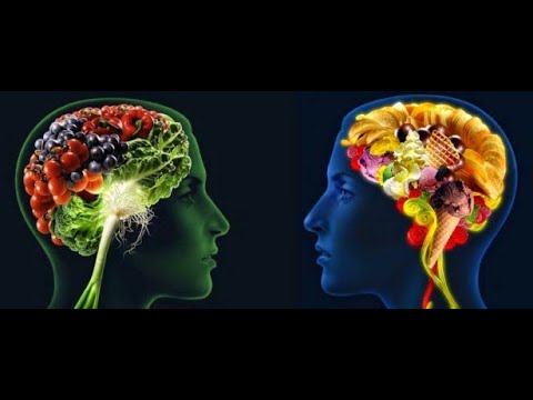 La importancia de la comida en nuestra salud y bienestar