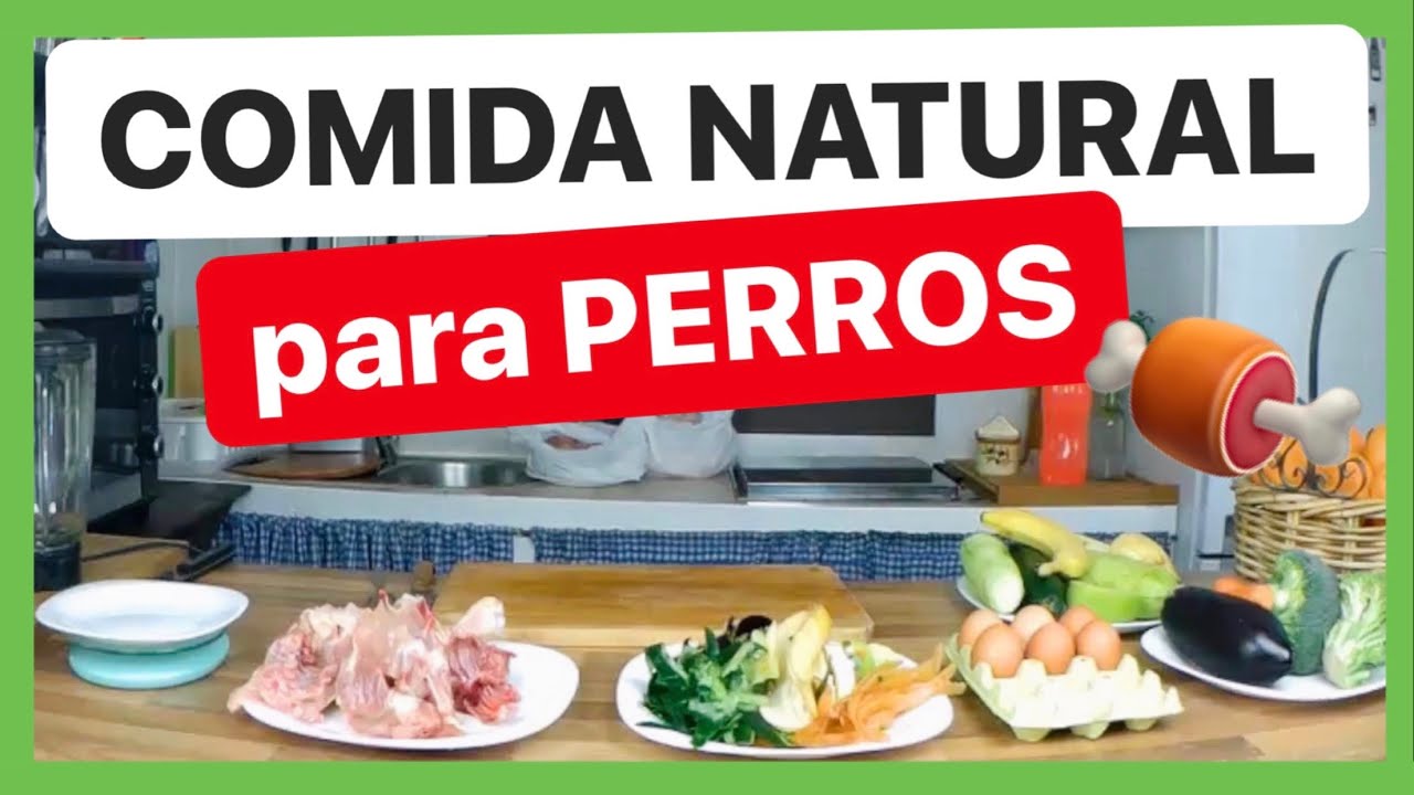 Preparando comida natural para mi perro: Consejos y Recetas