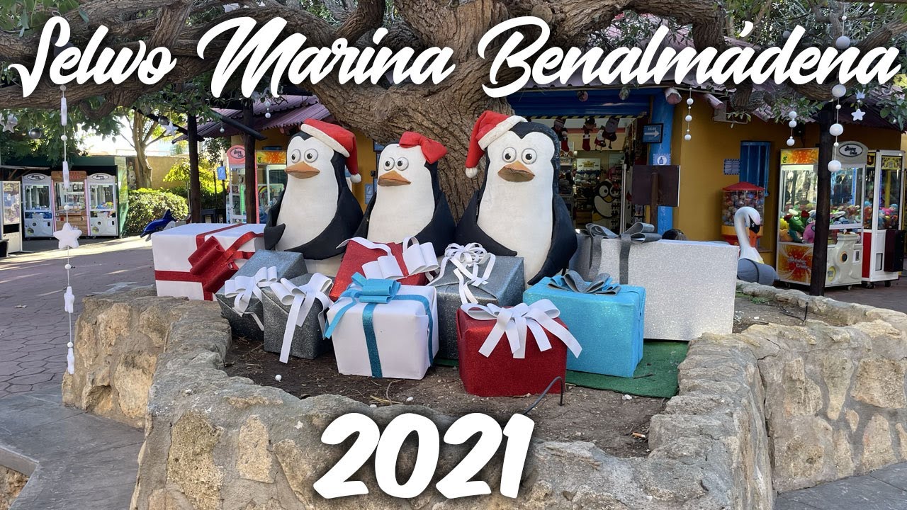 Selwo Marina: lleva tu comida y disfruta del día
