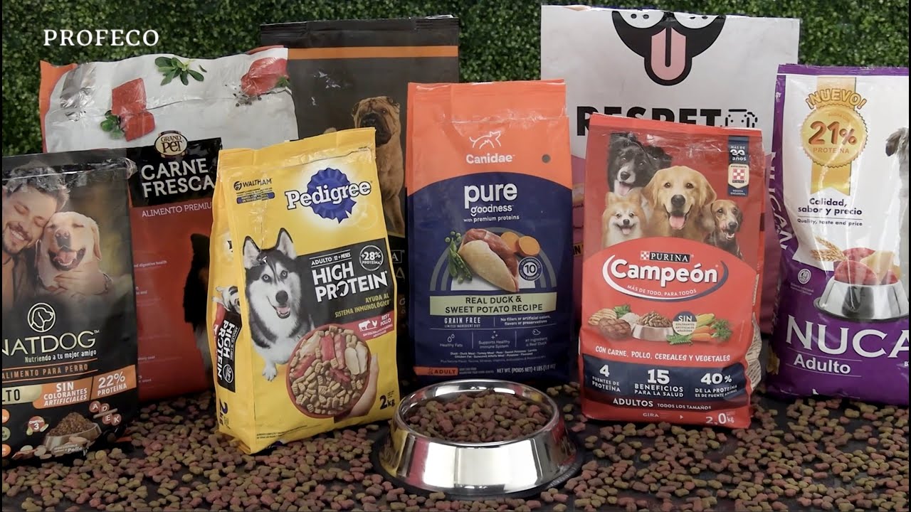 Tarros comida perros: Mejor opción para tu mascota