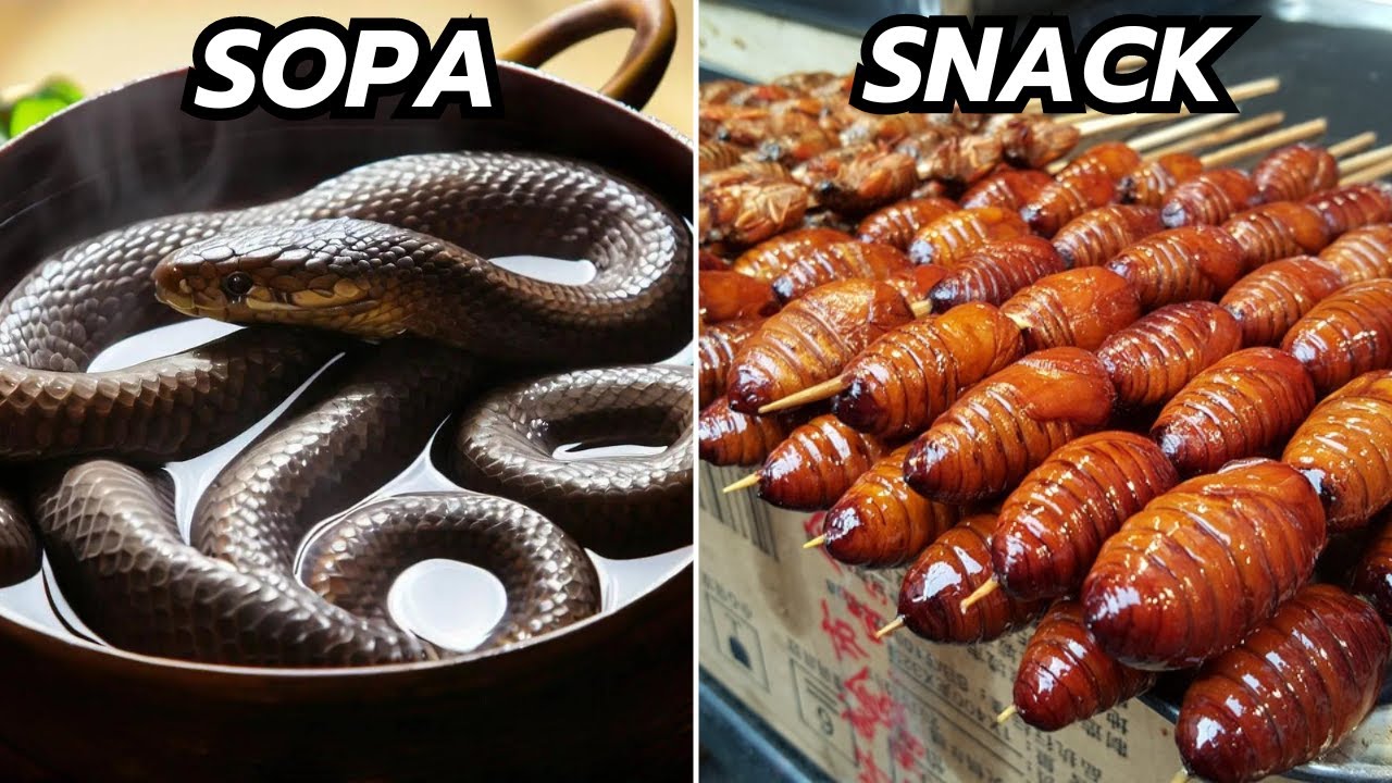 Comida de animales en la gastronomía china: sorprendente variedad