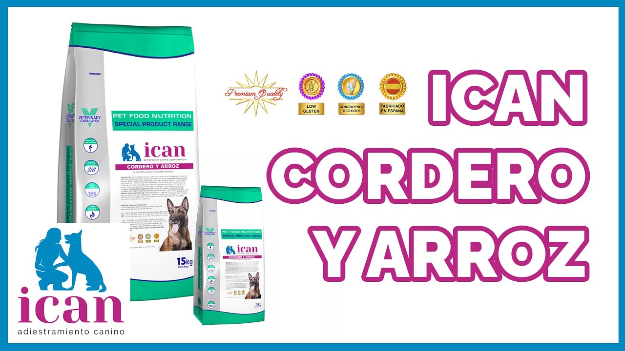 Comida para perros de cordero y arroz