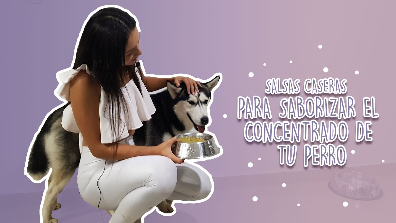 Mejora la comida de tu perro con esta deliciosa salsa