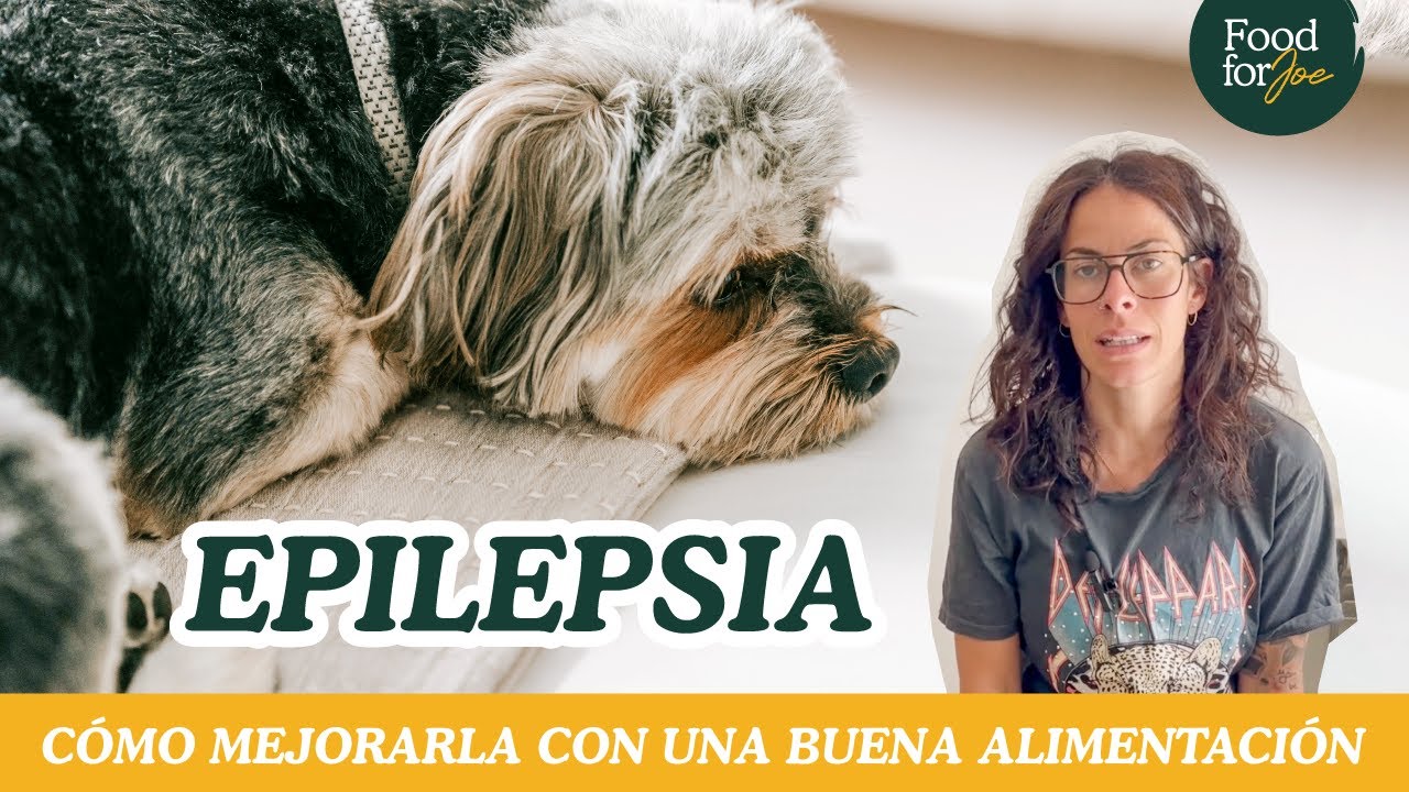 Alimentación Natural para Perros Epilépticos: Cuidado Saludable