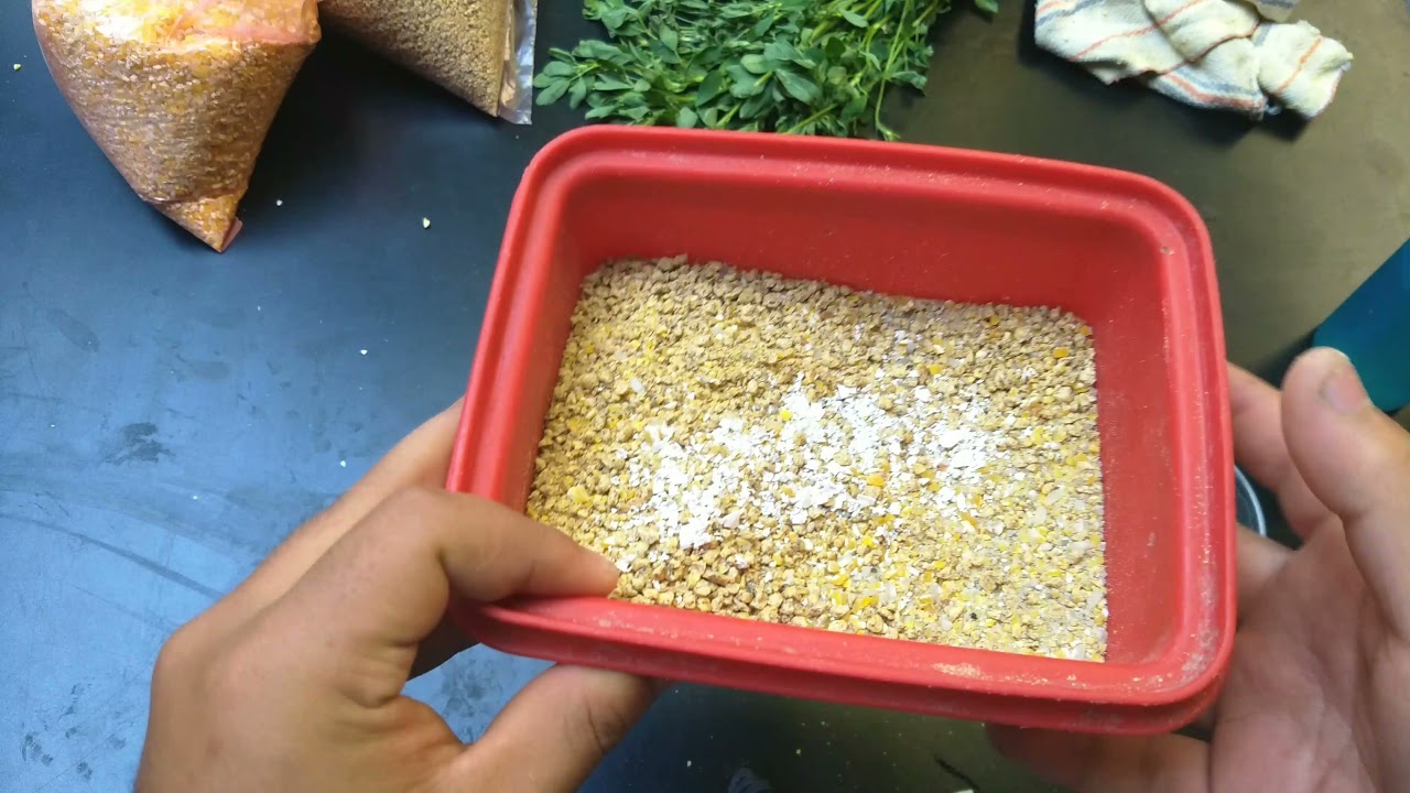 Alimentación adecuada: Comida para patitos recién nacidos