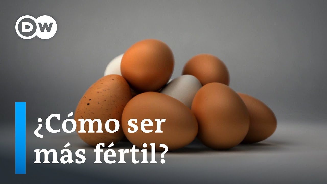 Alimentos que mejoran la fertilidad: La importancia de comer bien