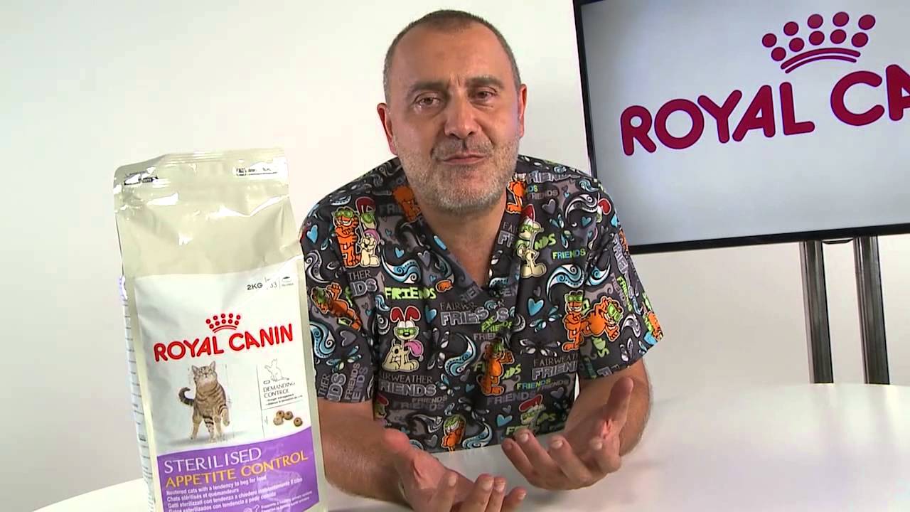 Comida seca para gatos esterilizados: nutrición completa y balanceada