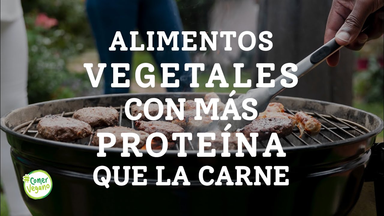 Comida vegetariana rica en proteínas