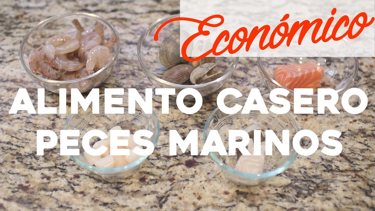 Compra a granel la mejor comida para peces