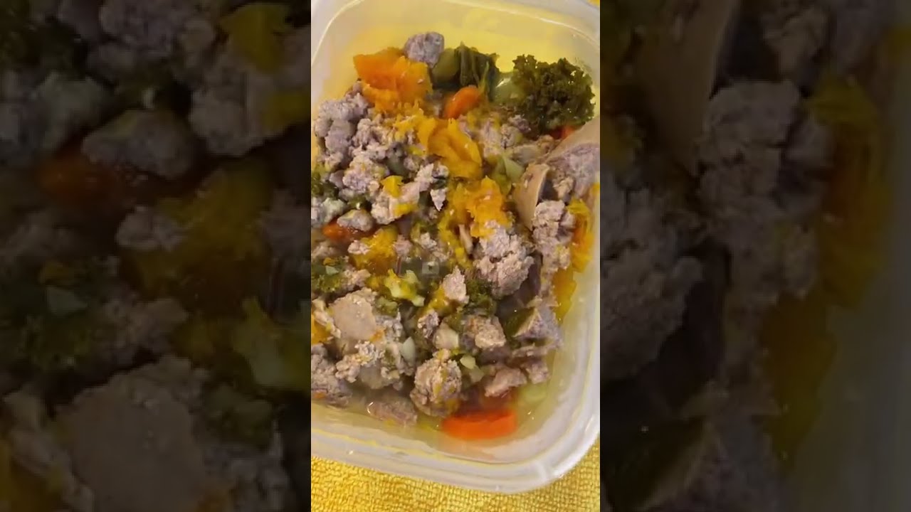 Delicioso alimento de pavo para tu mascota canina