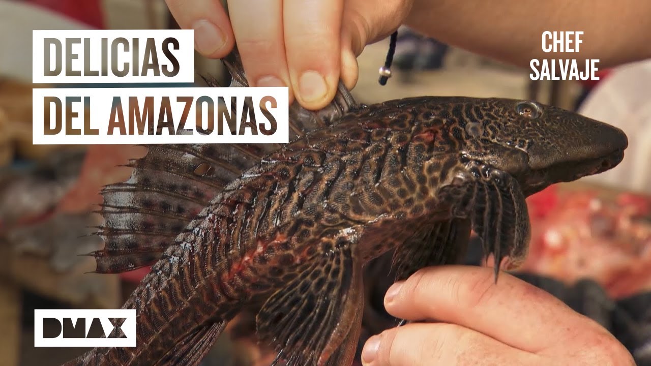 Descubre la deliciosa comida exótica de la selva