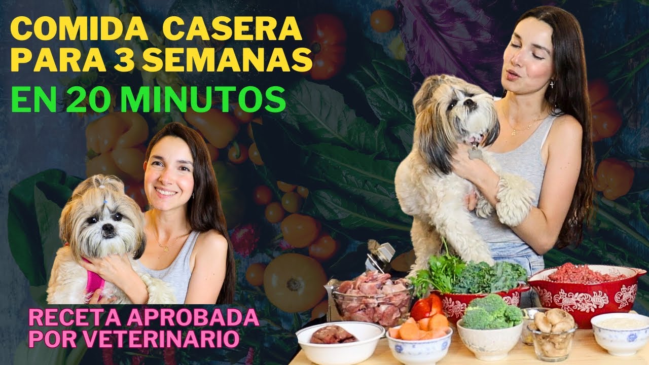 Descubre los ingredientes de la comida para perros