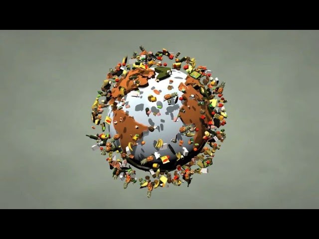 El impacto ambiental de desperdiciar kilos de comida al día