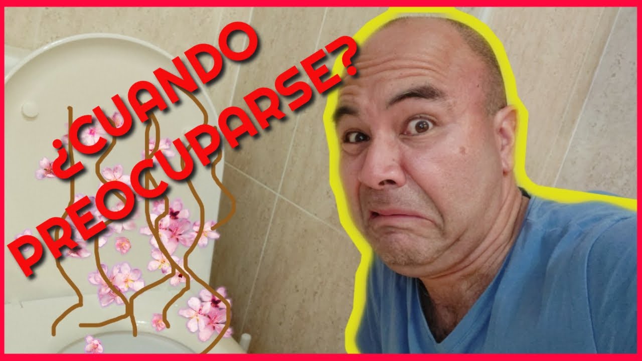 Importancia de la digestión para evitar heces no digeridas
