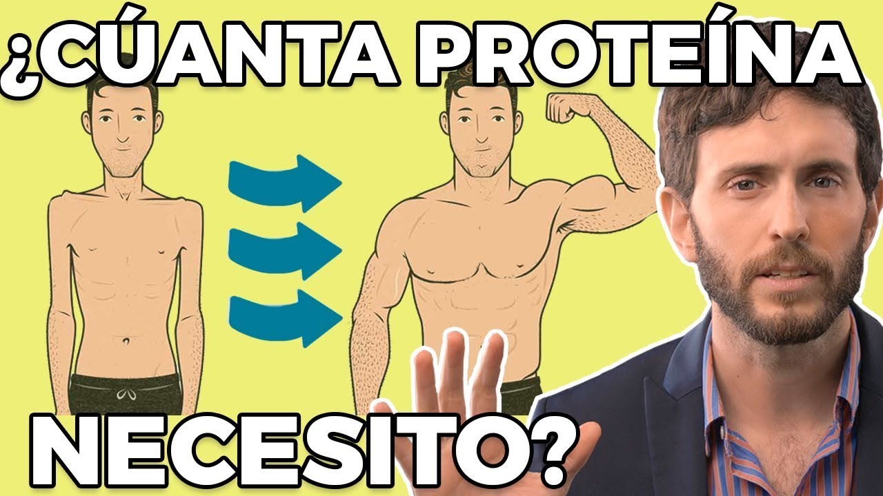 Importancia de los gramos de proteína en la alimentación