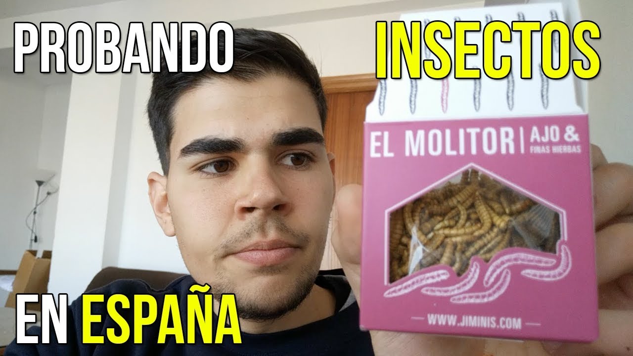 Insectos en la comida: el preocupante fenómeno en España