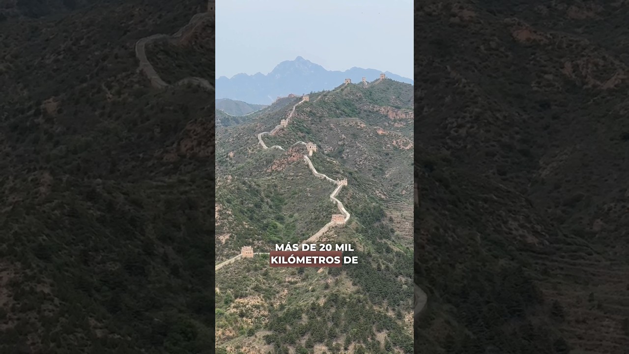 La Gran Muralla: Una experiencia culinaria con comida china