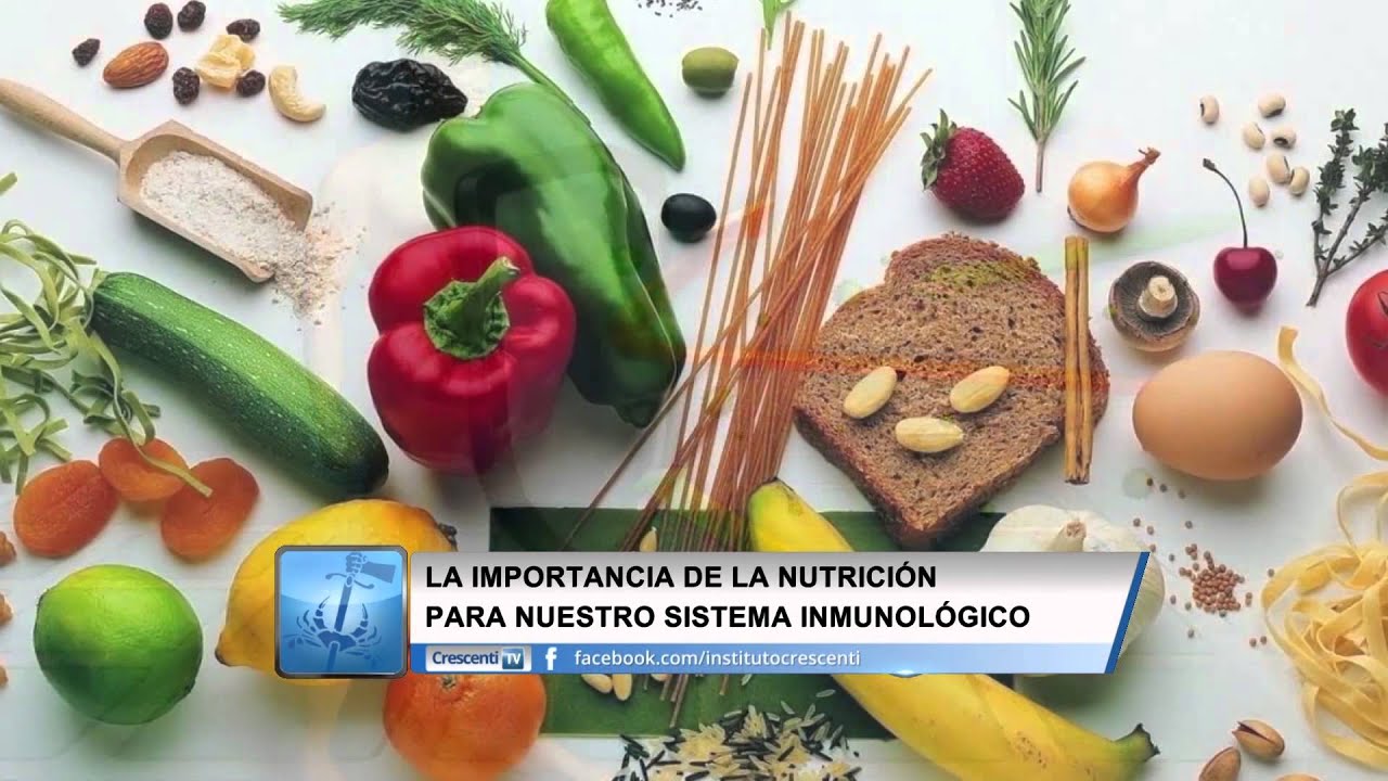 La importancia de la comida en nuestra dieta diaria