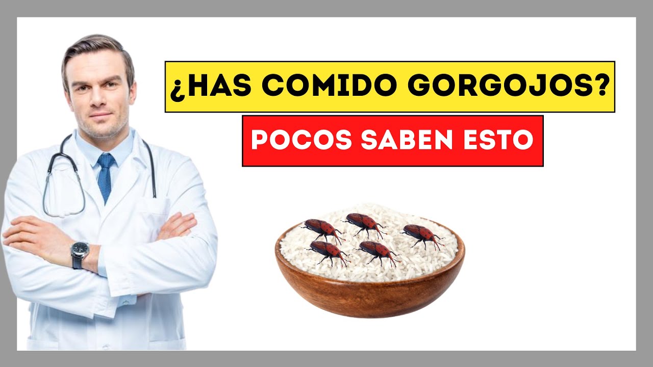 Los peligros de consumir comida infestada con gorgojos