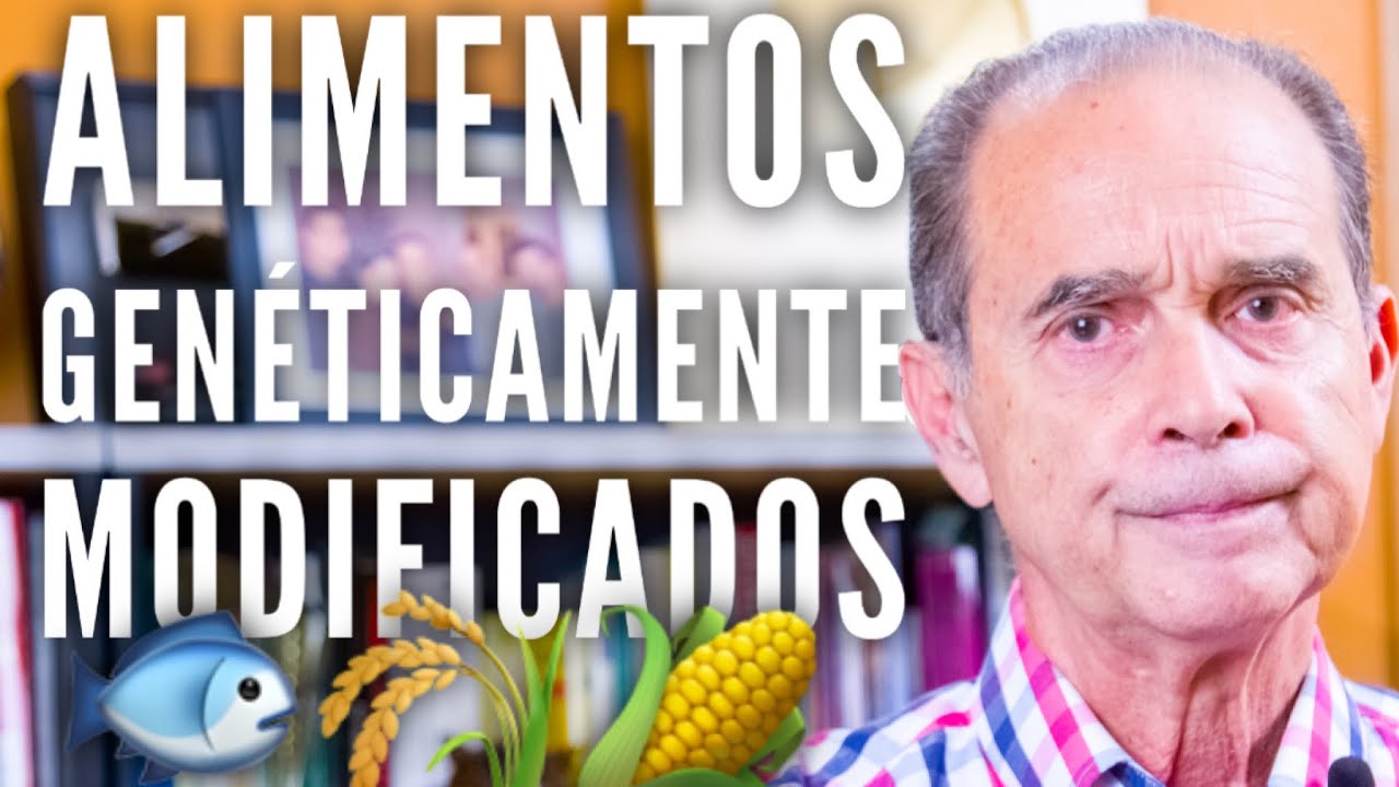 Beneficios de la comida transgénica para tu salud y bienestar