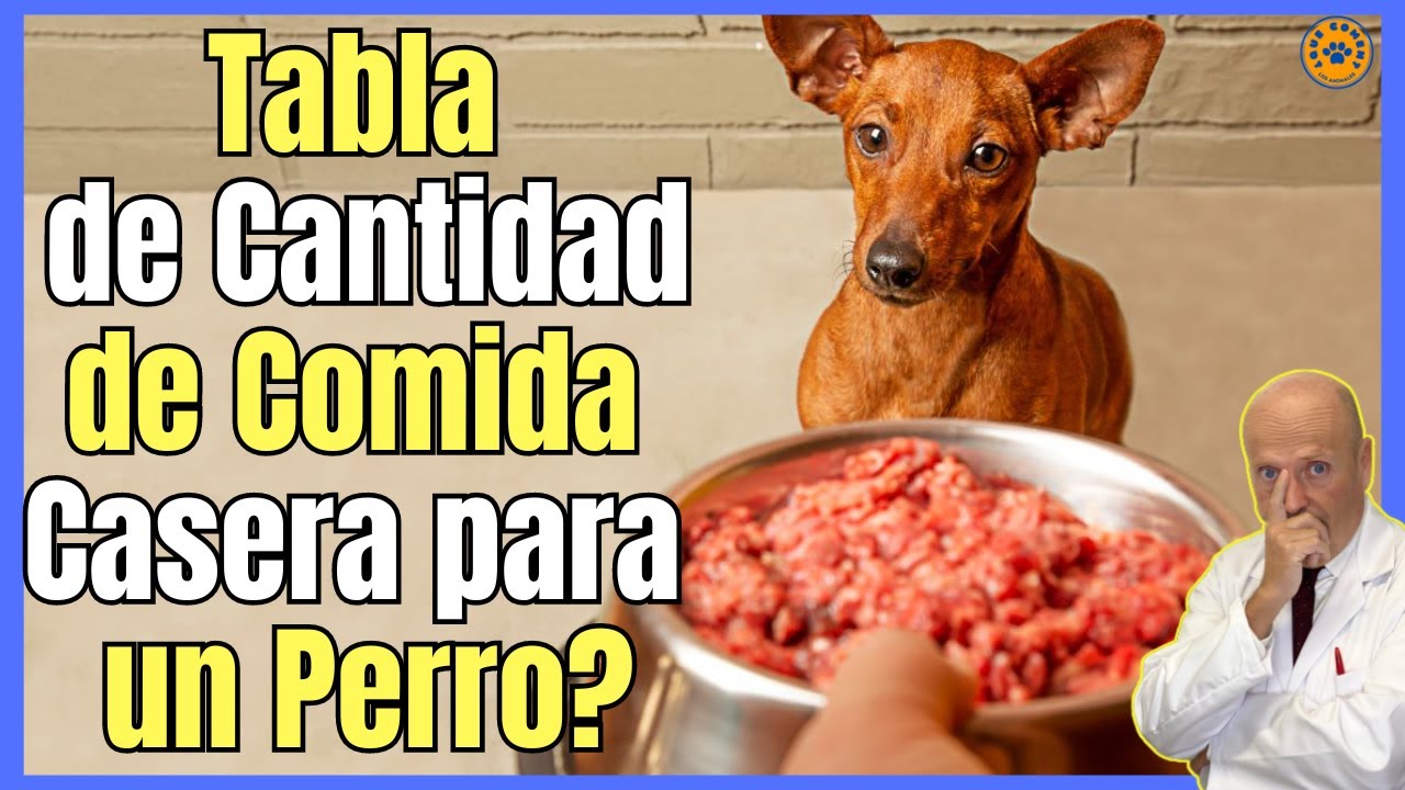 Cantidad de comida para cachorro labrador en tabla