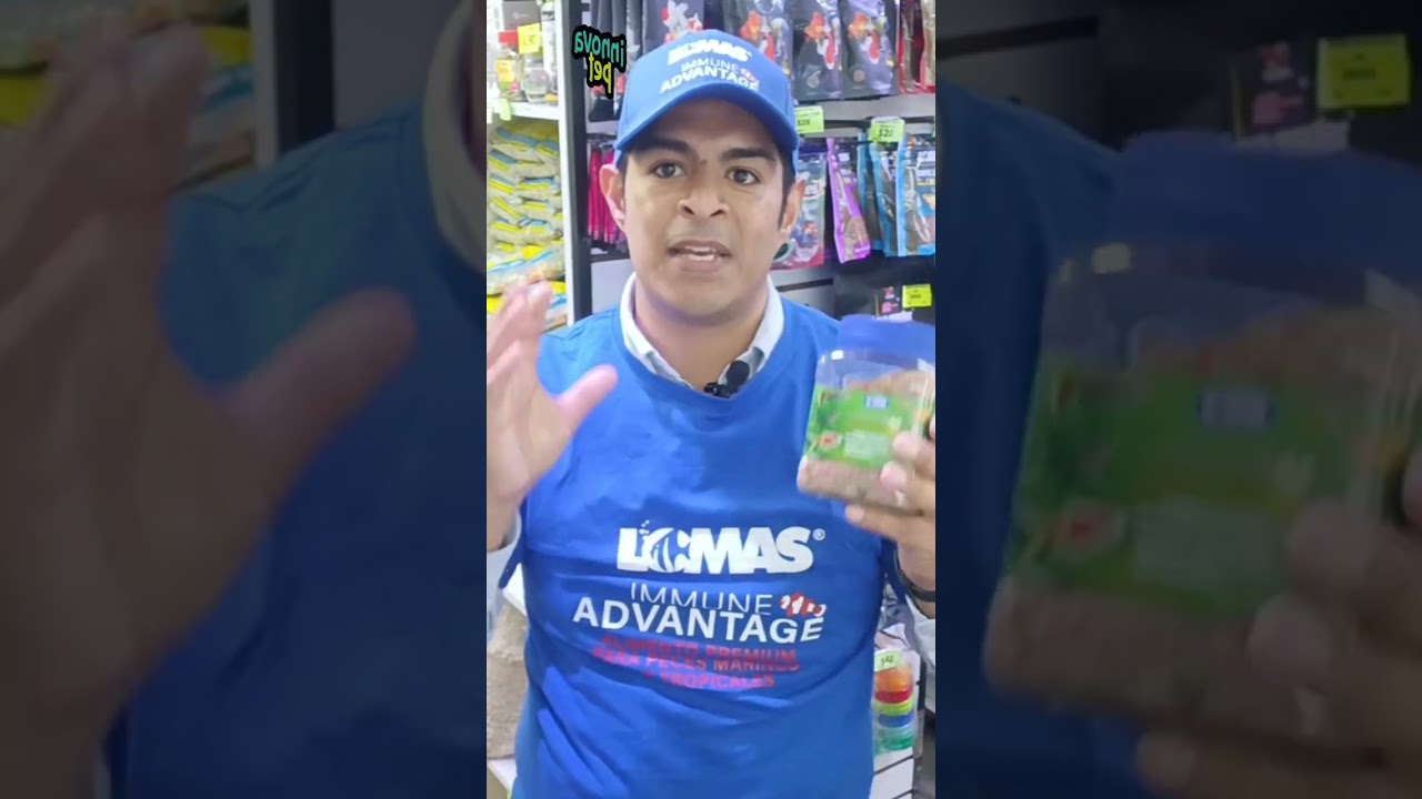 Comida en hojuelas para peces: nutrición y sabor garantizados