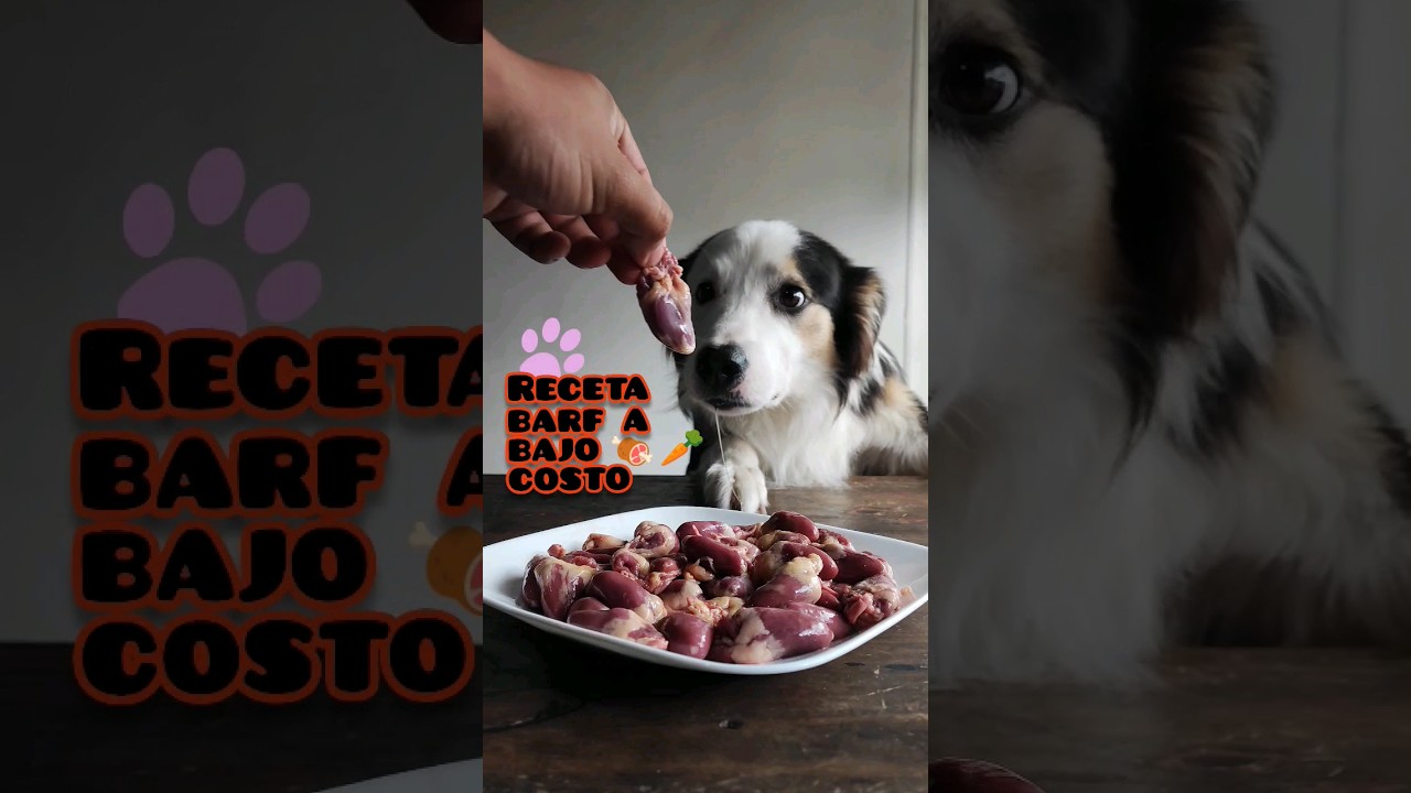 Comida húmeda baja en grasa para perros saludables