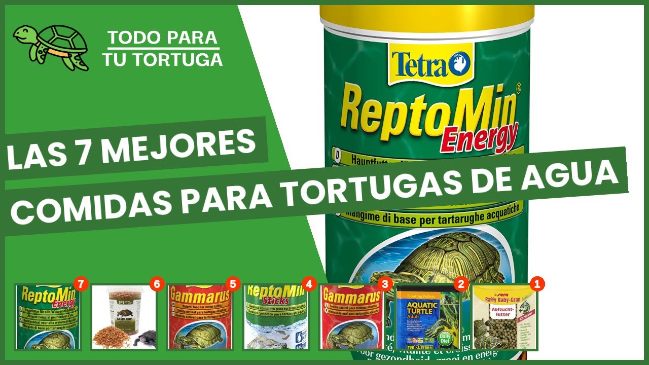 Comida necesaria para tortugas de agua pequeñas