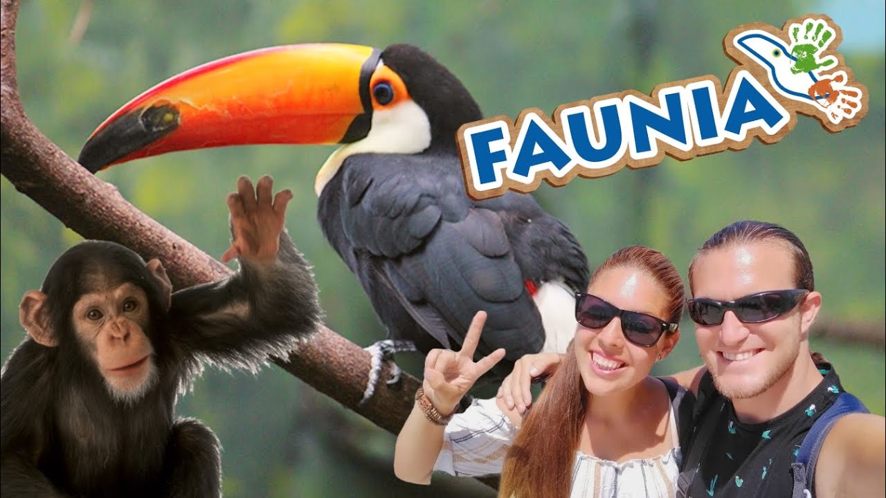 Comida permitida en Faunia: Todo lo que necesitas saber