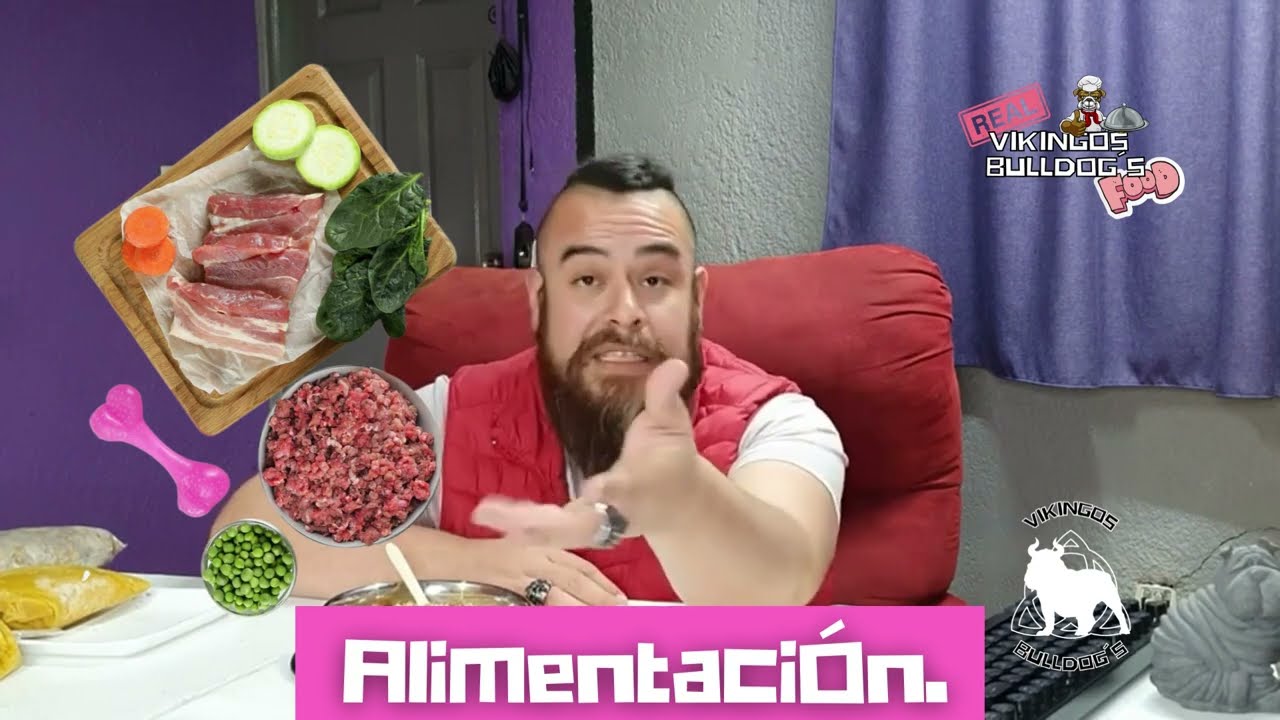 Deliciosa comida casera para tu Bulldog Inglés