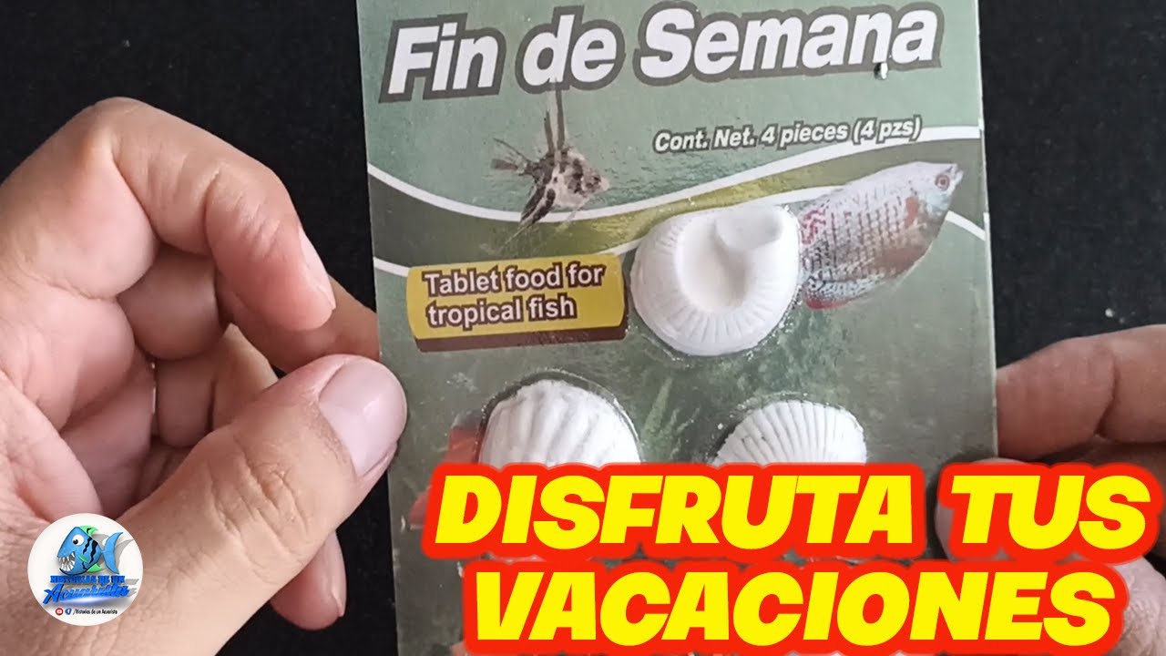 Disfruta de los mejores peces en tu comida de fin de semana