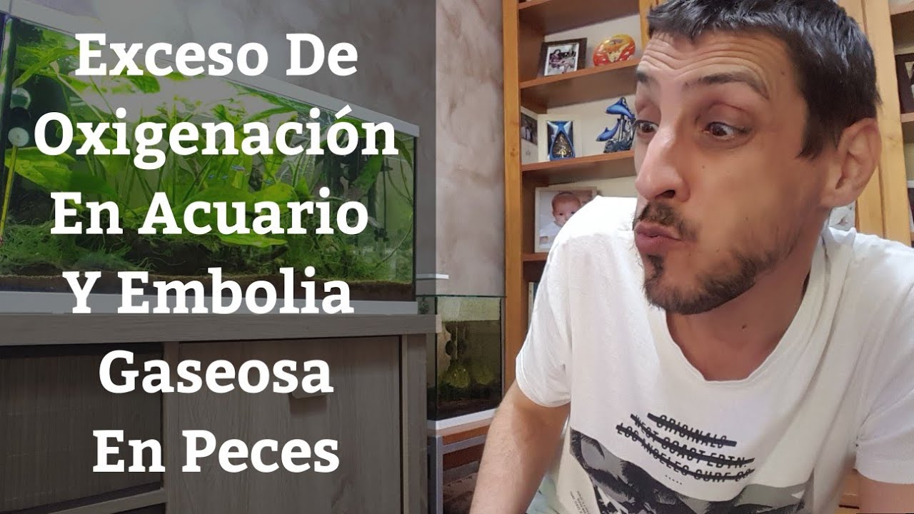 Exceso de comida mata a los peces