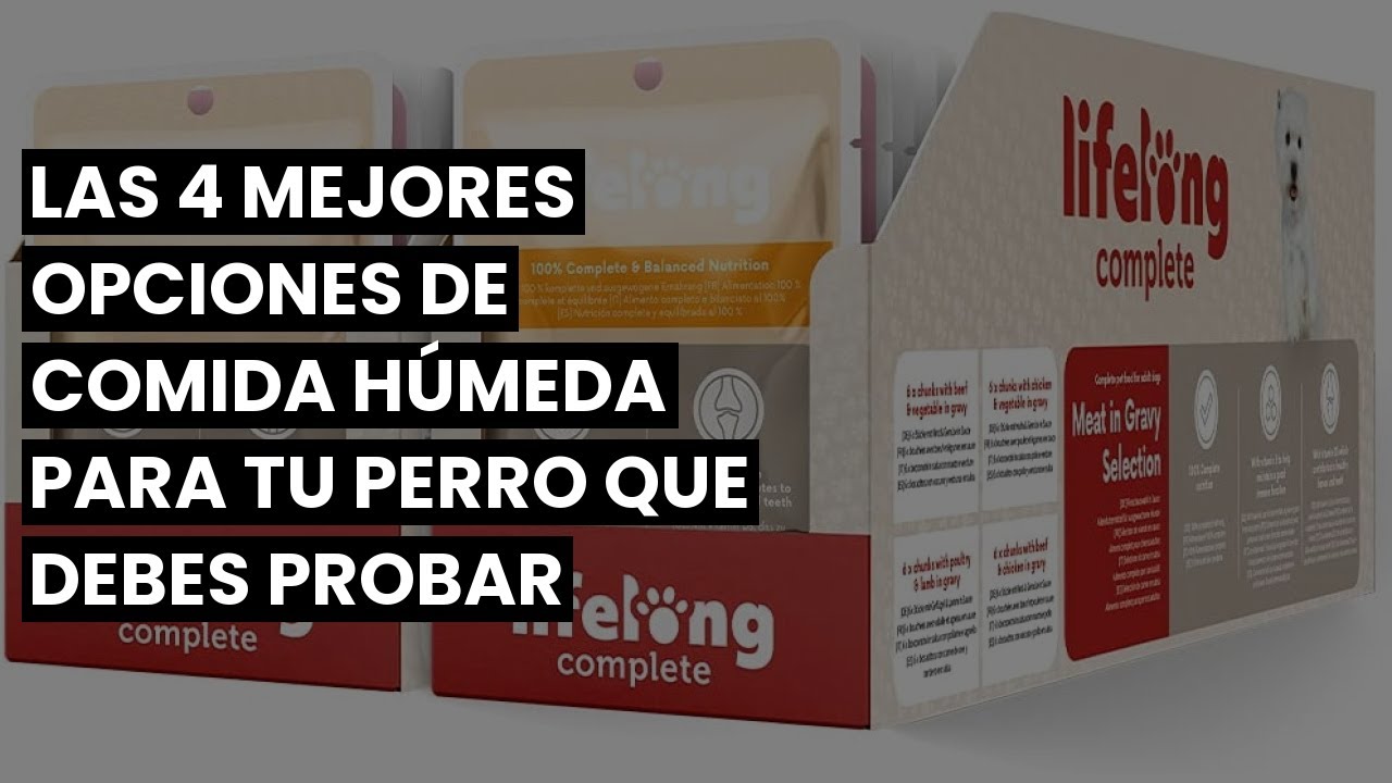 La mejor opción de comida húmeda sin cereales para perros