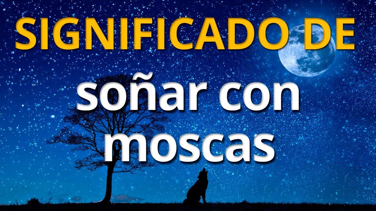 La pesadilla de soñar con moscas en la comida